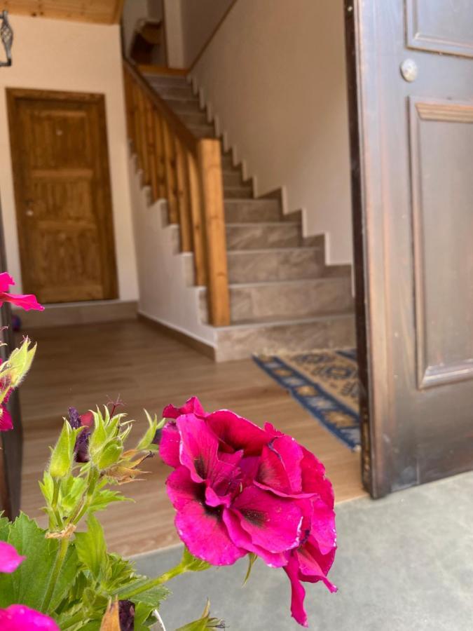 Guesthouse Riverside Berat Bagian luar foto